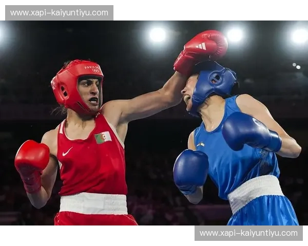 搏击赛事转会：重塑擂台的商业革命